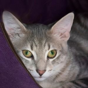 Meet your Posher, Sandra